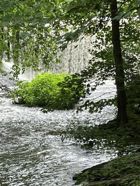 Tymor Park Loop - New York | AllTrails