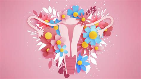 Image result for Reproductive Issues