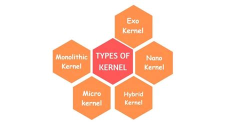 Kernel Types 的图像结果