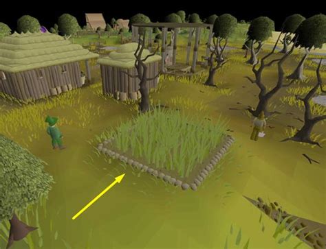 Image result for Wheat Tree OSRS