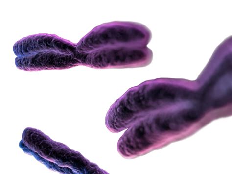 Pharmaceutical and Biopharmaceutical Manufacturing