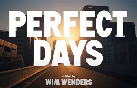 Image result for Perfect Days Book