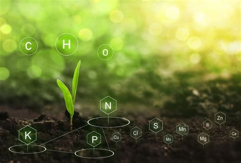 Soil Science 的图像结果