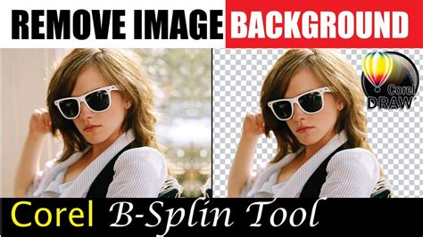 Image result for Remove Background in Corel