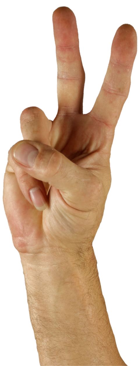 Politician Doing Peace Sign 的图像结果