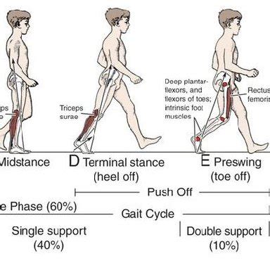 Image result for Visualisation Normal Walk