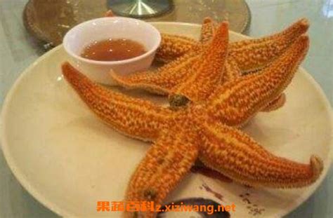 海星怎么吃 海星的食用方法_海鲜食材_做法,功效与作用,营养价值z.xiziwang.net