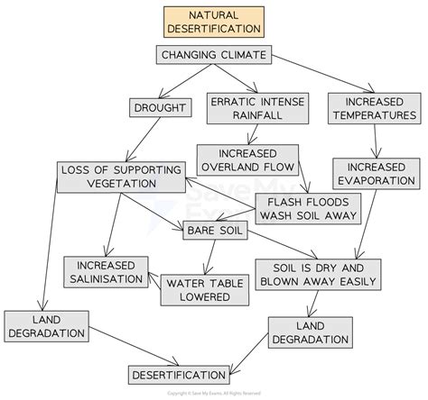 Causes Of Desertification