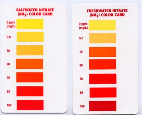 Image result for API Nitrate Test