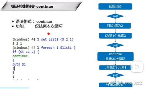 Code TCL 的图像结果