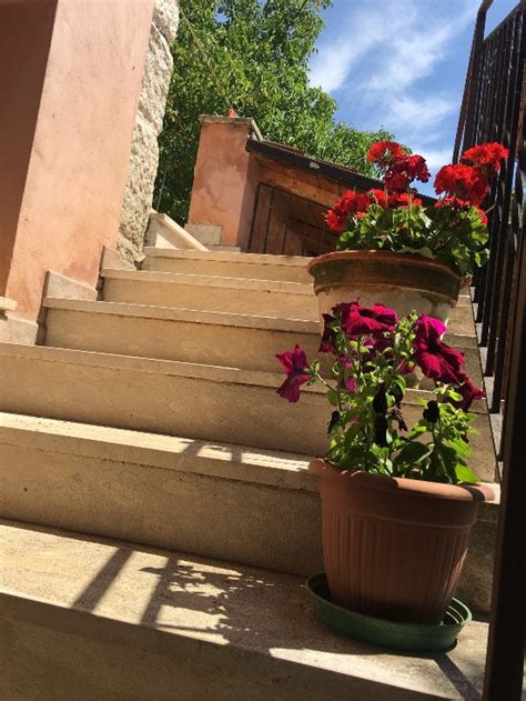 AGRITURISMO LA FATTORIA (San Donato Val di Comino) - Lodge Reviews ...