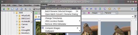 Image result for Batch Convert Images with FastStone