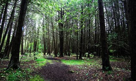 Lindsay Tourism (2023): Best of Lindsay, Canada - Tripadvisor