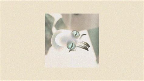 Image result for Spectrum Net Ebb