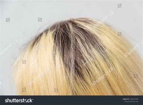 334 Dark Hair Grey Roots Images, Stock Photos & Vectors | Shutterstock