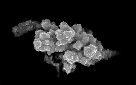 Technologia 的图像结果