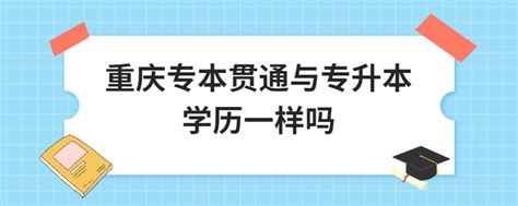 学校举办与重庆移通学院联合培养“3+2”专本贯通人才方案论证和宣讲会 - 学院新闻 - 重庆公共运输职业学院