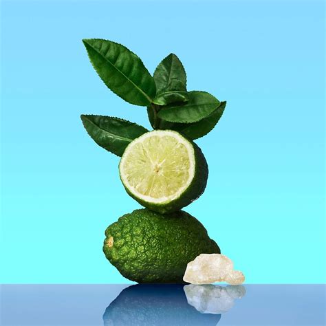 Calvin Klein CK One Eau de Toilette – Citrus India | Ubuy