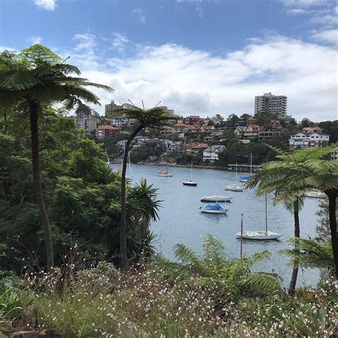 CREMORNE RESERVE (2026) All You Need to Know BEFORE You Go (with Photos ...