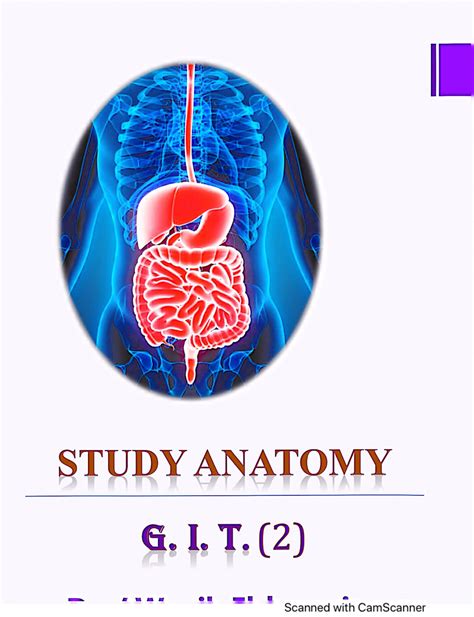 Anatomy of Git System in Amharic 的图像结果