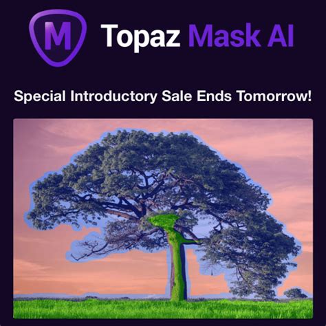 Image result for How to Use Topaz Mask AI