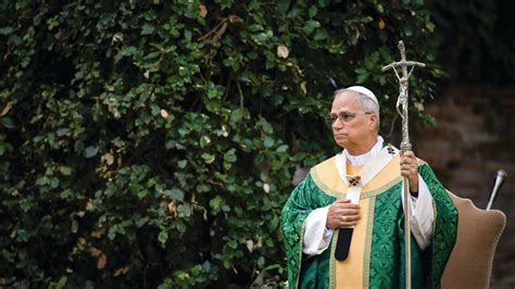 Pope Leo wears Chicago-made vestments to July 9 ‘care of creation’ Mass ...