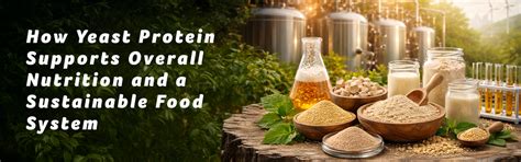 Yeast Protein for Better Nutrition and a Greener Food Future – Acme ...