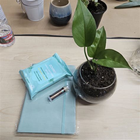 Things To Do in San Francisco this weekend (March 6 - March 8, 2026 ...