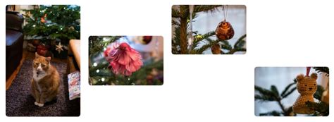 Image result for CSS Alignment Guide