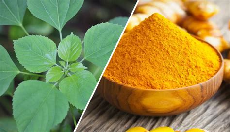 15 Best Remedies To Get Rid Of Facial Hair Naturally - lifeberrys.com