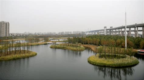 我的长江我的家丨安徽芜湖：系统治污的“三峡模式”见成效_朱家桥