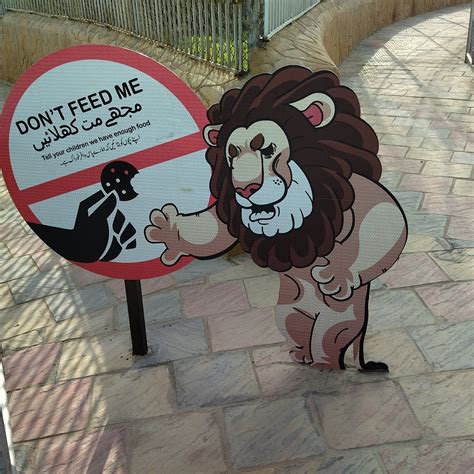 DANZOO DAY AND NIGHT ZOO (2025) All You Need to Know BEFORE You Go ...