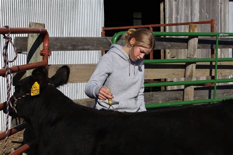 Herd Builder program helps South Dakota youth start their own livestock ...