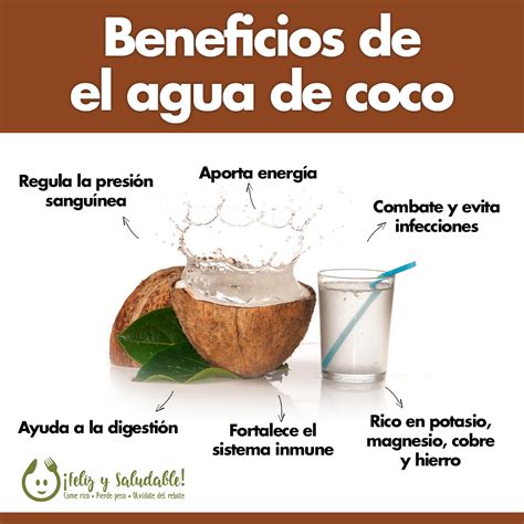 Beneficios del agua de coco | Frutas y verduras beneficios, Beneficios de alimentos, Beneficios ...