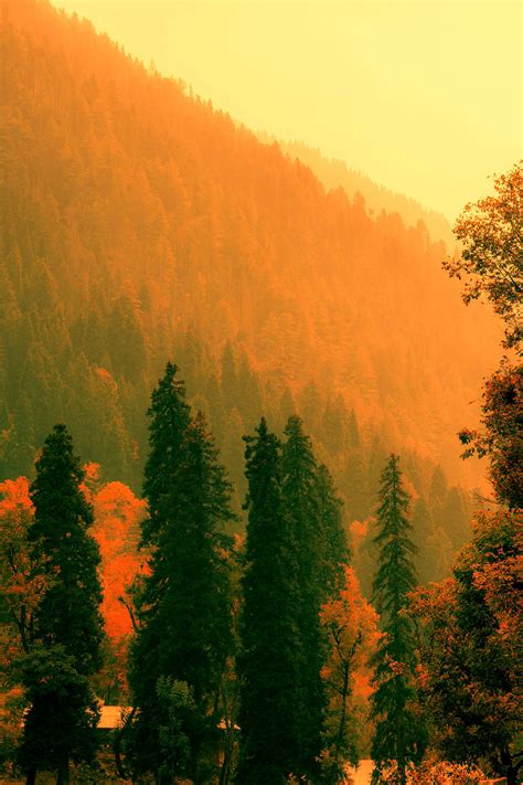 Unveiling the Mystical Charm of Kashmir with Kashmont: Your Guide to a ...