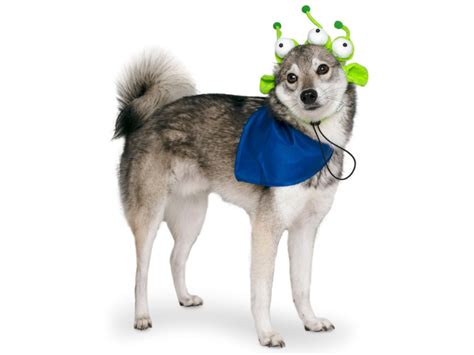 Amazon.com : Midlee Alien Dog Headband Costume : Pet Supplies