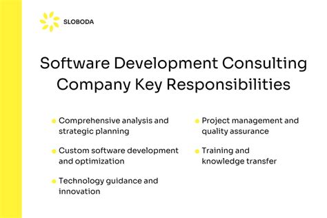 Software Development Consulting 的图像结果