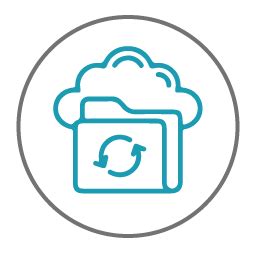 Platform as a Service | SAP B1 PaaS | Webtel