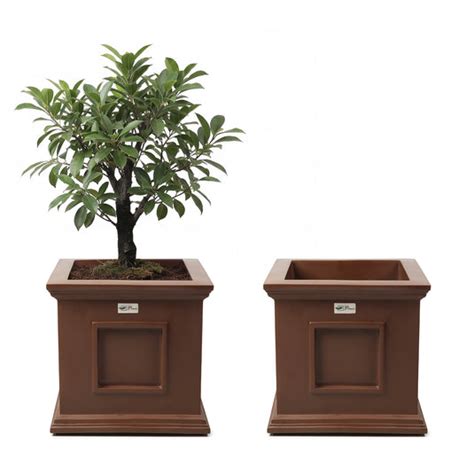 Fiberglass Planters - Buy Fiberglass Planters For Outdoor and Indoor ...