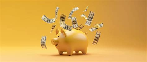 The Best High-Yield Business Savings Accounts of 2024 - Shopify India