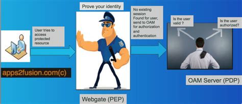 OAM Oracle 的图像结果