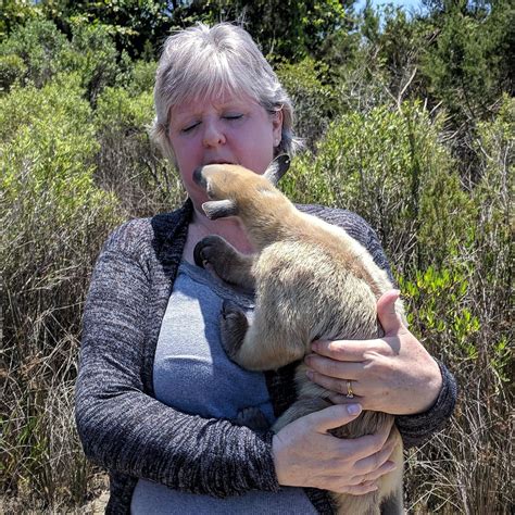 WALK ANTEATERS , FEED A SLOTH, KINKAJOU AND EXOTICS (2026) All You Need ...