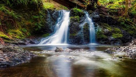 10 Best Waterfalls In Sydney That’ll Leave You Mesmerized
