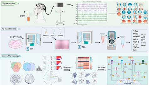 The Therapeutic Potential of Dalbergia pinnata (Lour.) Prain Essential ...