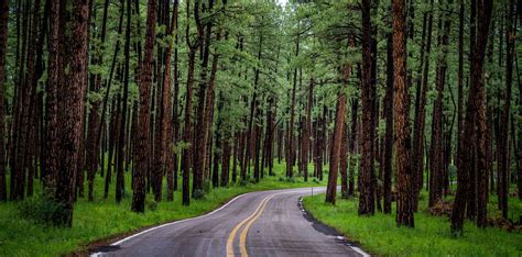 Grant County Nm Assessor’S Website – PMTNW