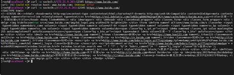 Setup Socks5 的图像结果