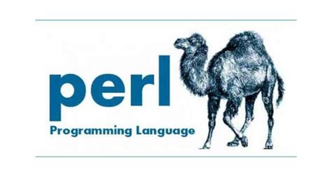 Image result for Perl Programming Languages HD Images