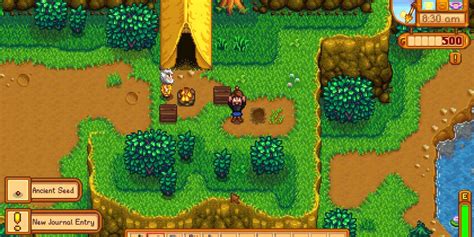 The Best World Seeds in Stardew Valley
