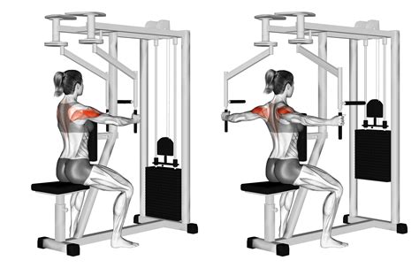 Pec Deck Machine Rear Delt Fly: Benefits, Muscles Worked, and More ...