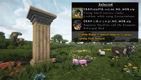 Image result for Conquest Minecraft Mod